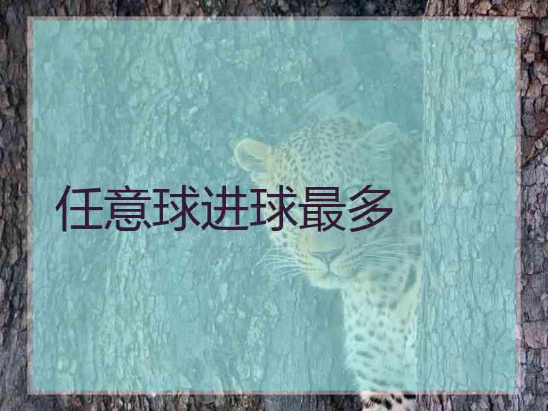 任意球进球最多