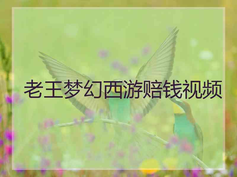 老王梦幻西游赔钱视频