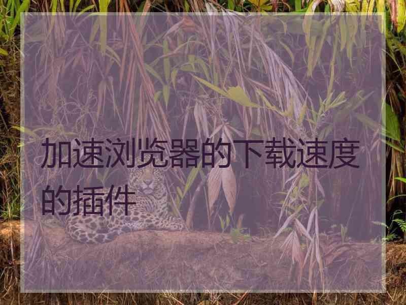 加速浏览器的下载速度的插件