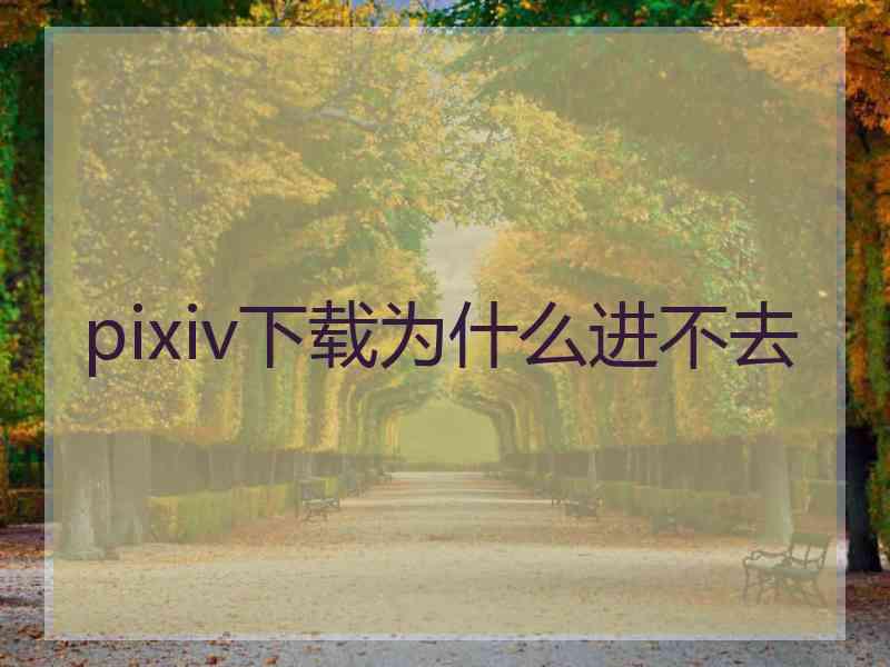 pixiv下载为什么进不去