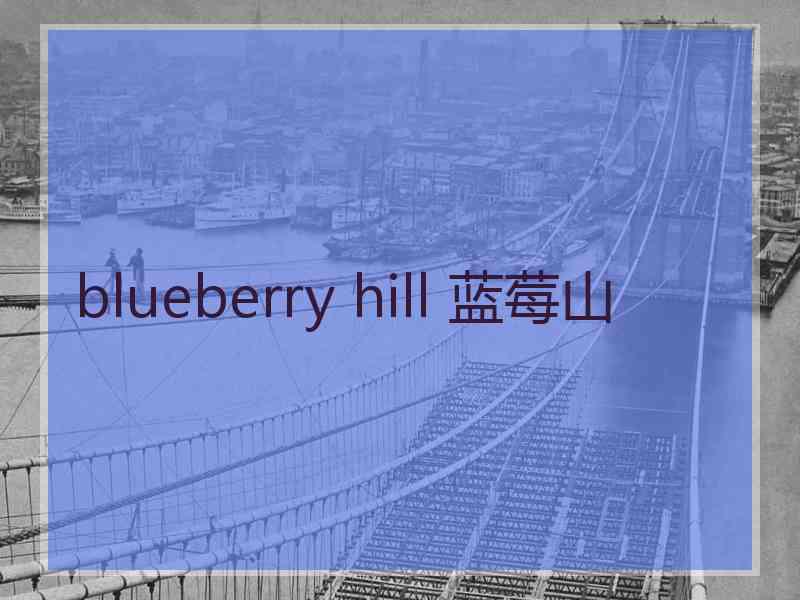 blueberry hill 蓝莓山