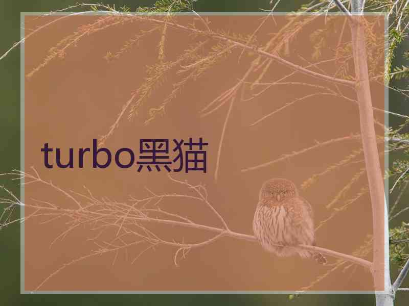 turbo黑猫