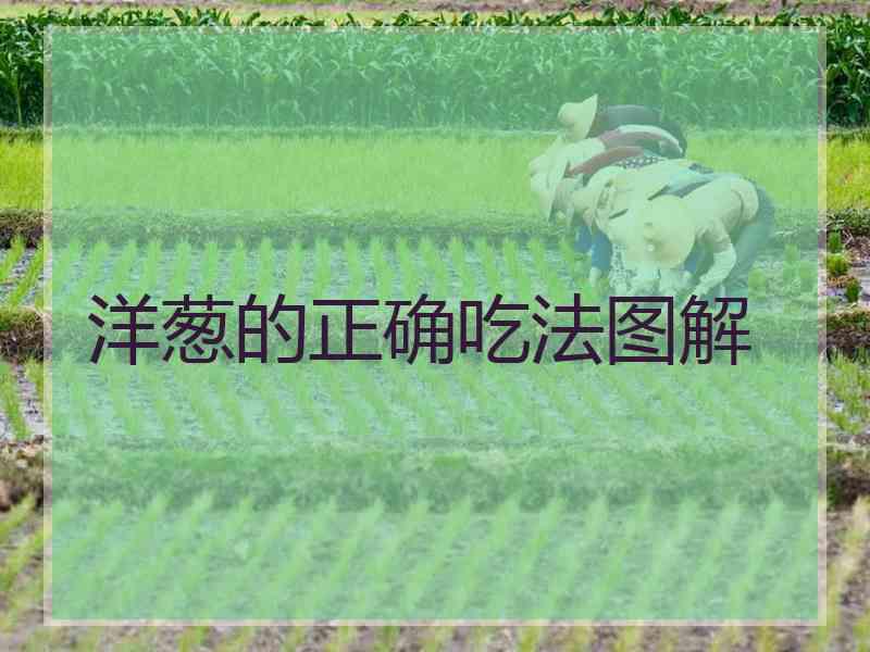 洋葱的正确吃法图解