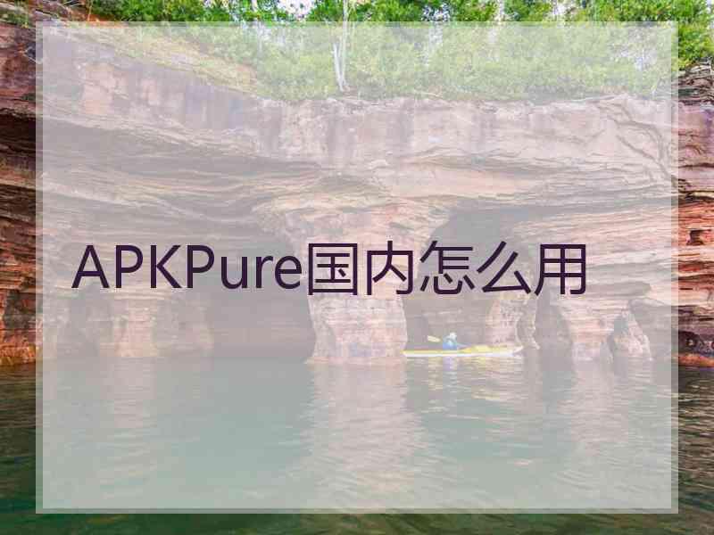 APKPure国内怎么用