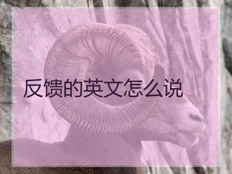 反馈的英文怎么说