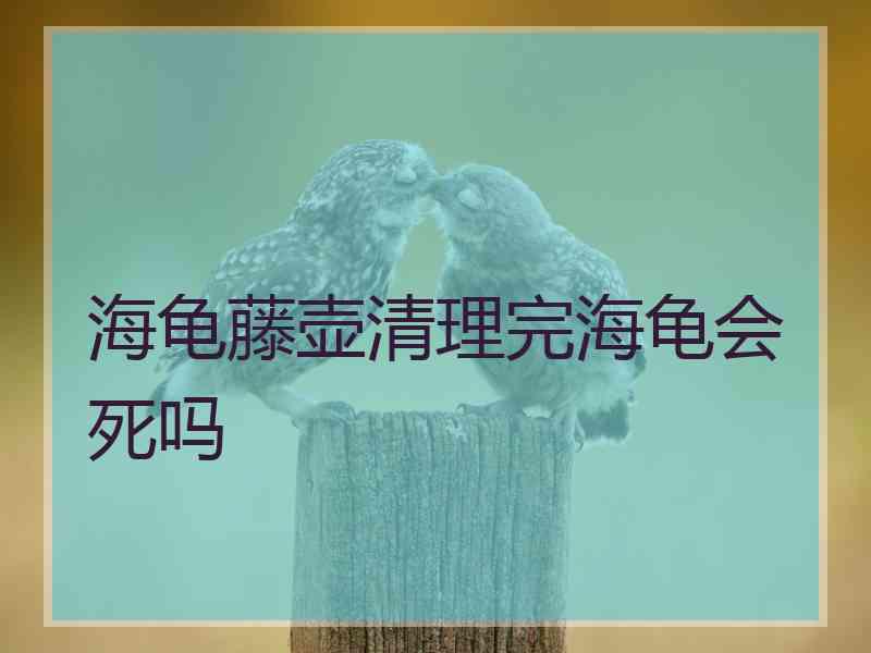 海龟藤壶清理完海龟会死吗