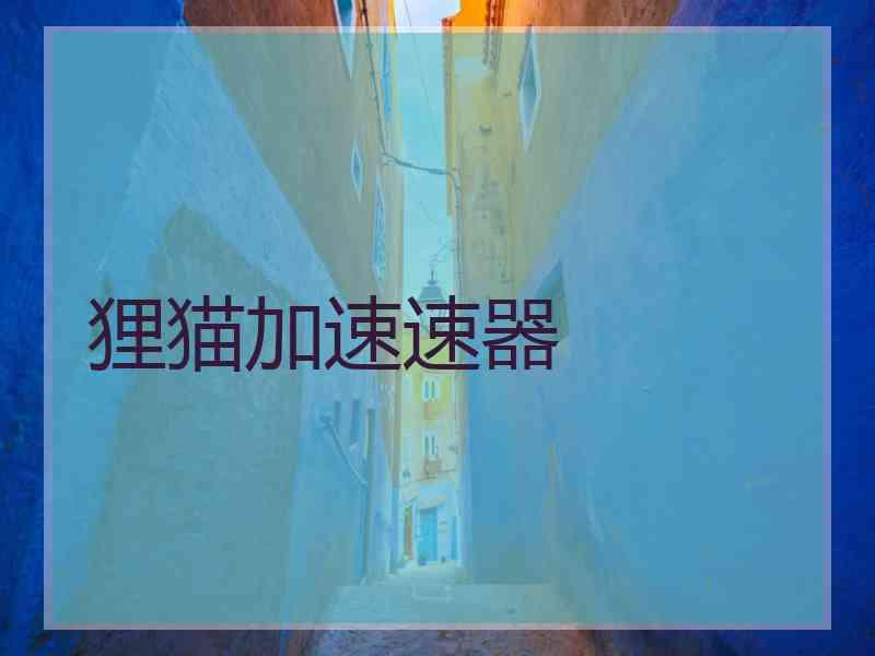 狸猫加速速器
