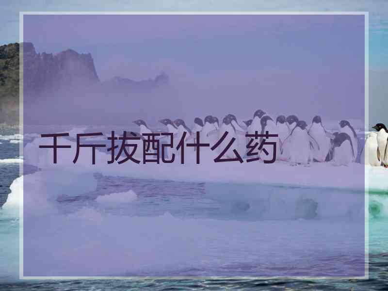 千斤拔配什么药