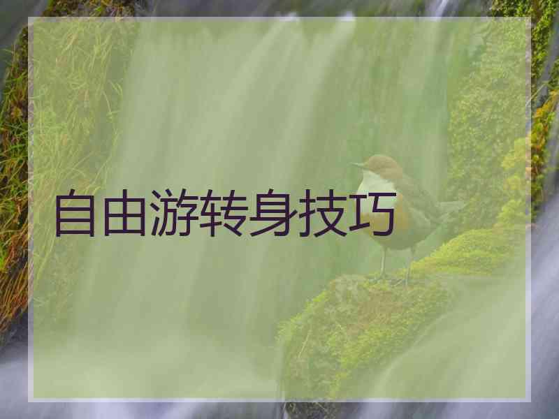 自由游转身技巧