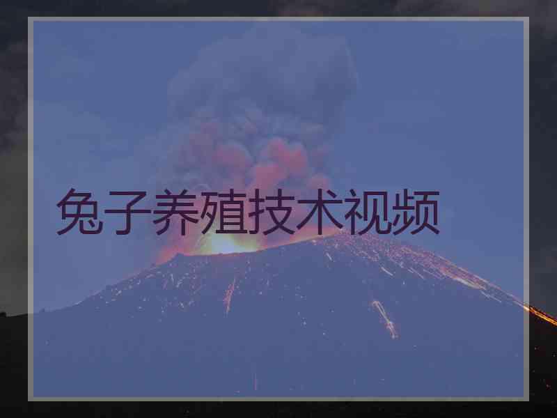 兔子养殖技术视频