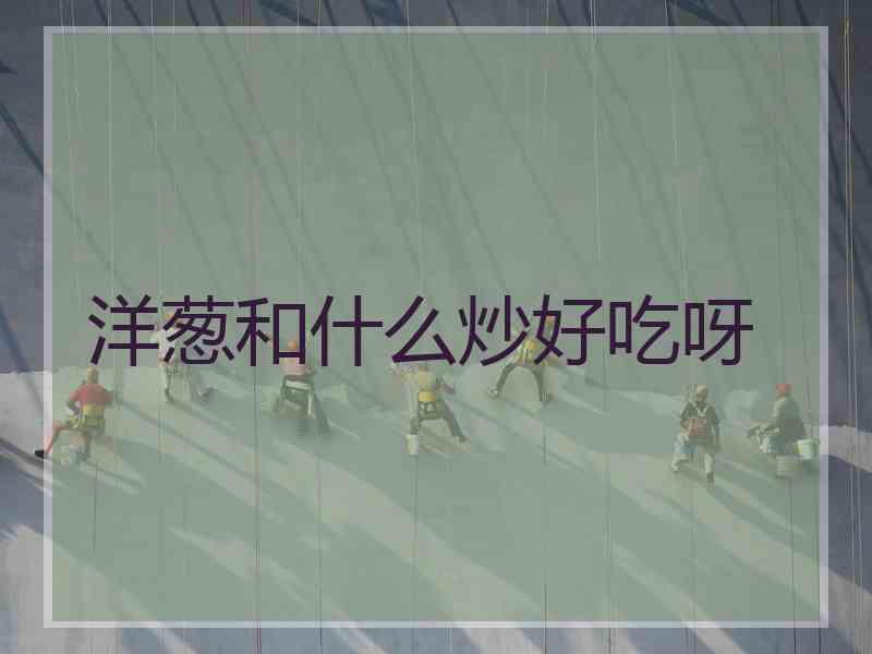 洋葱和什么炒好吃呀