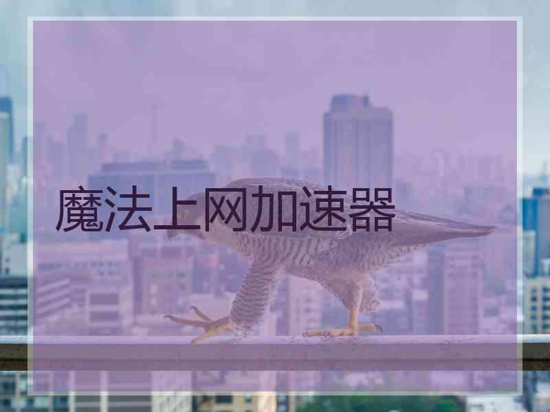 魔法上网加速器