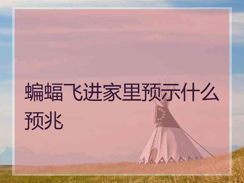 蝙蝠飞进家里预示什么预兆