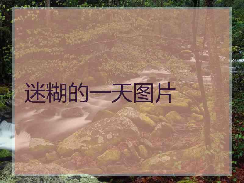 迷糊的一天图片