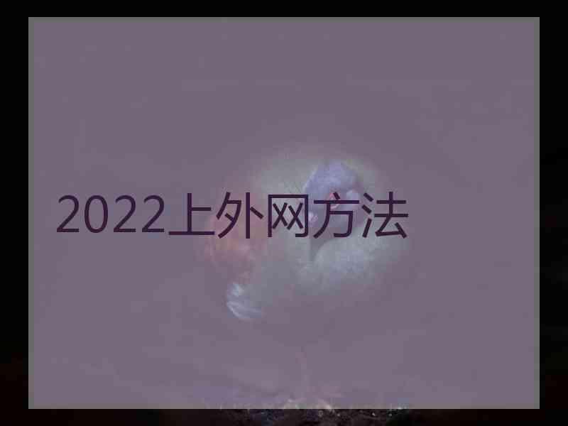 2022上外网方法