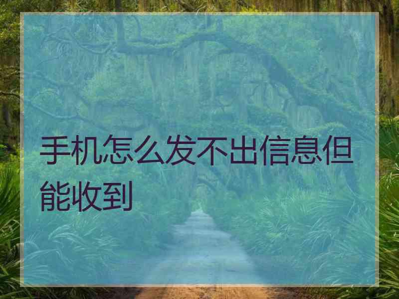 手机怎么发不出信息但能收到
