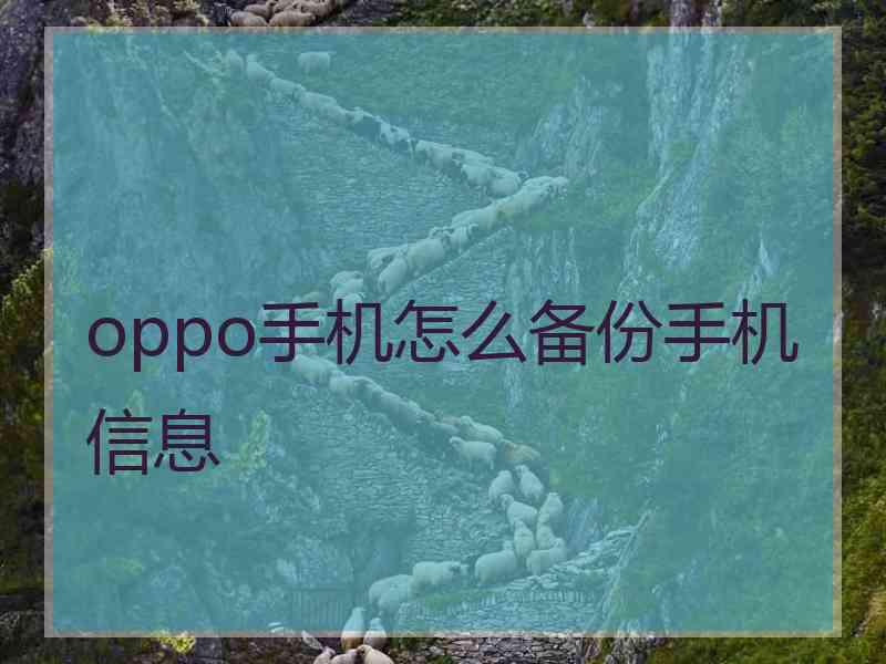 oppo手机怎么备份手机信息