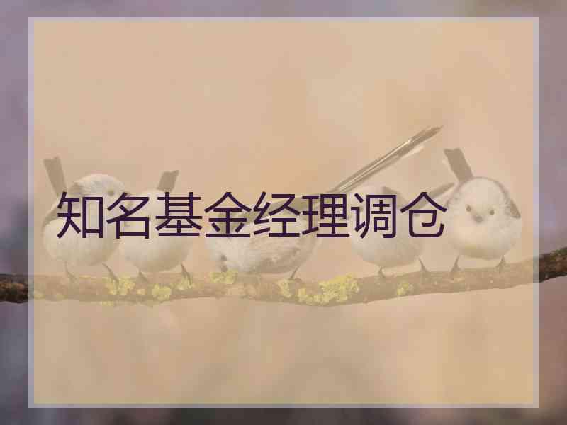 知名基金经理调仓