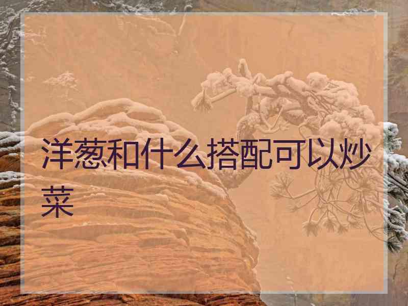 洋葱和什么搭配可以炒菜