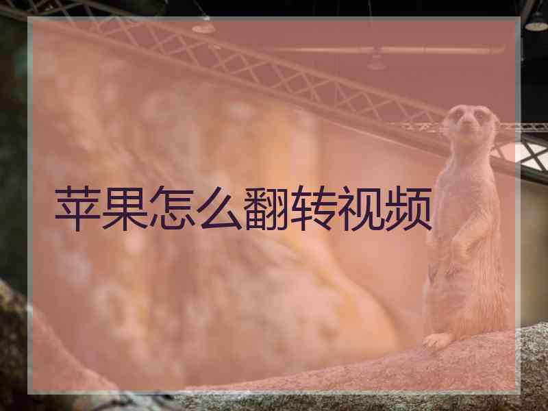 苹果怎么翻转视频