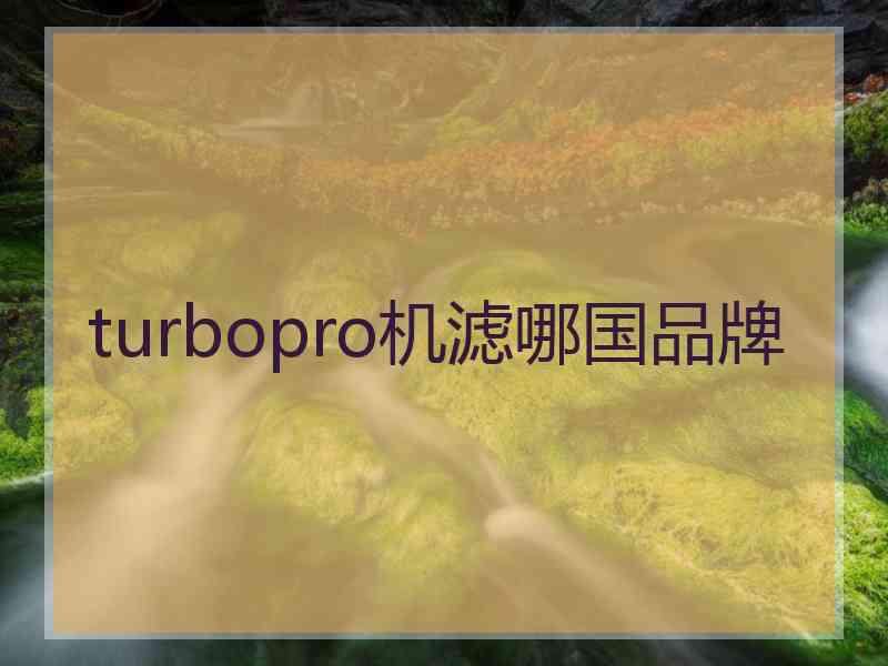 turbopro机滤哪国品牌