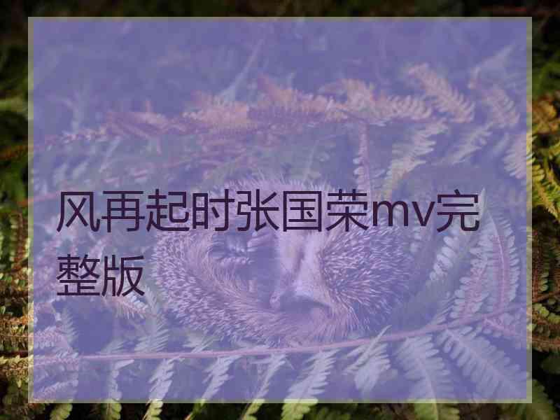 风再起时张国荣mv完整版
