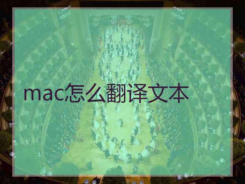 mac怎么翻译文本