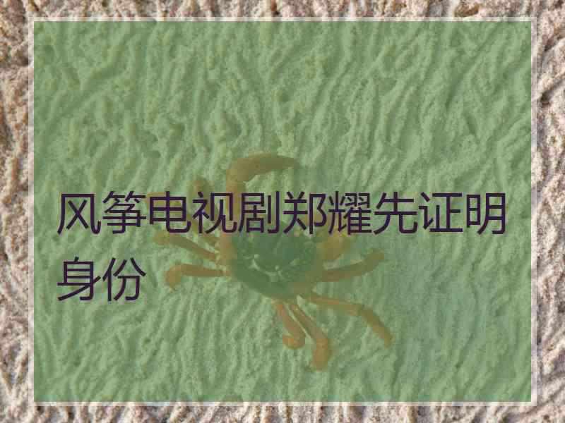 风筝电视剧郑耀先证明身份