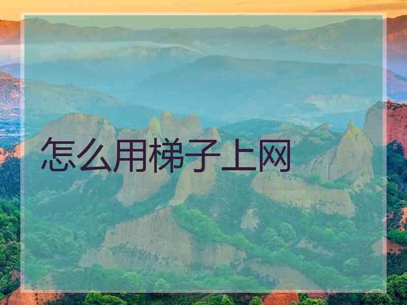 怎么用梯子上网