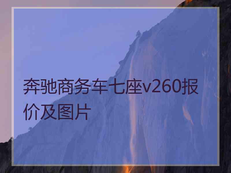 奔驰商务车七座v260报价及图片