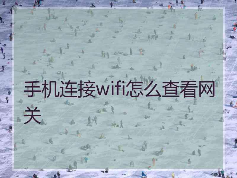 手机连接wifi怎么查看网关