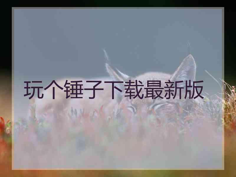 玩个锤子下载最新版