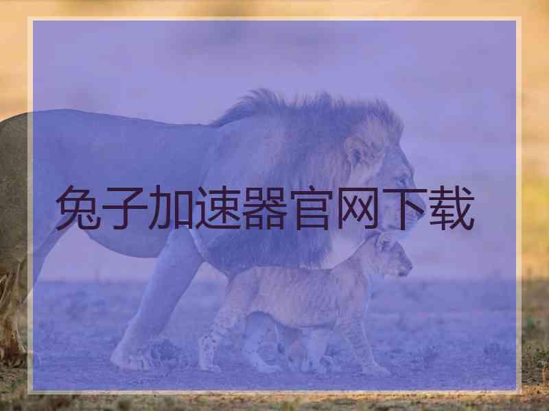 兔子加速器官网下载
