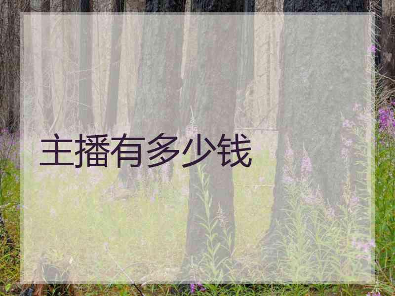 主播有多少钱