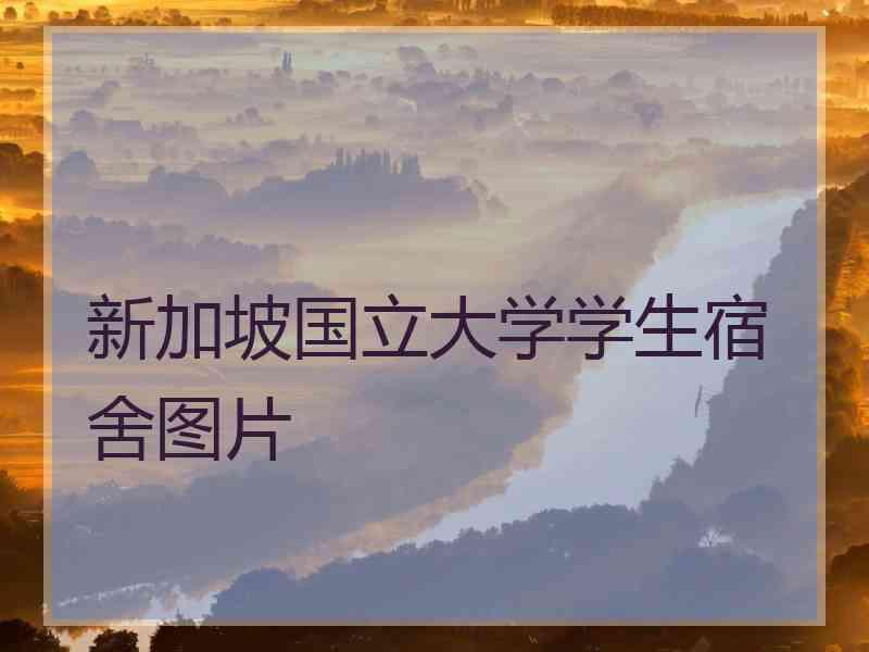 新加坡国立大学学生宿舍图片