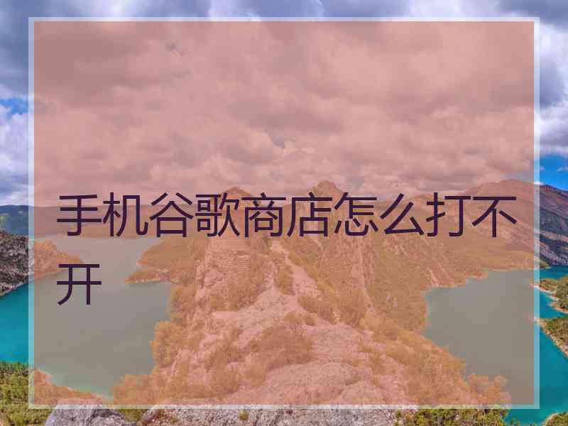 手机谷歌商店怎么打不开