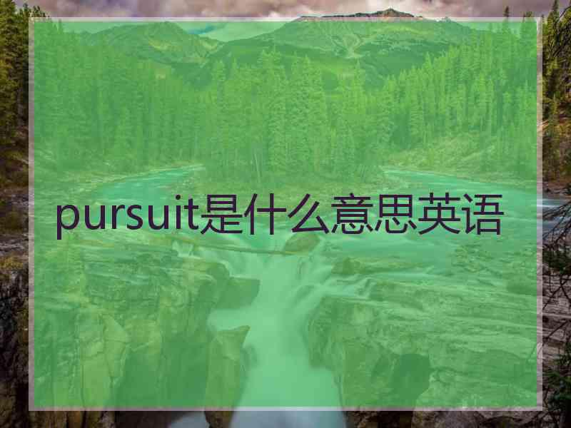 pursuit是什么意思英语