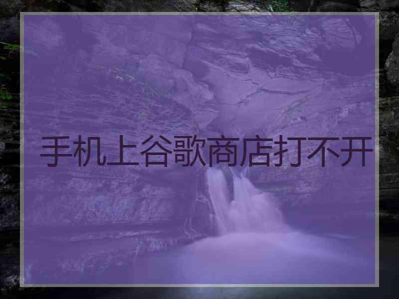 手机上谷歌商店打不开