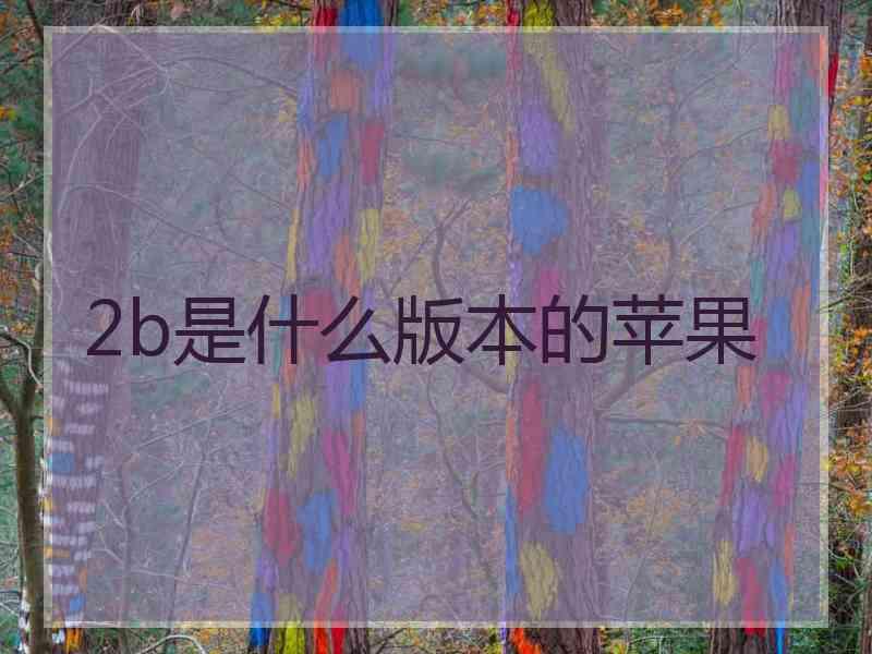 2b是什么版本的苹果