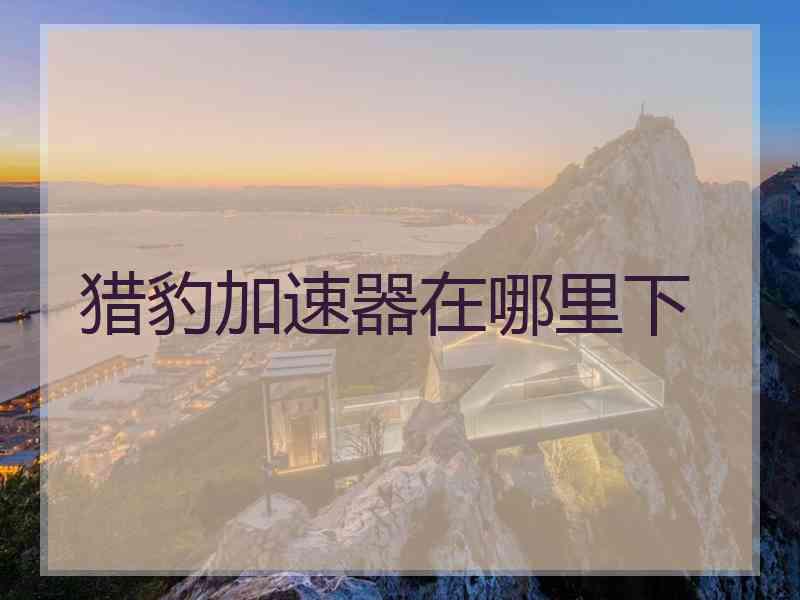 猎豹加速器在哪里下