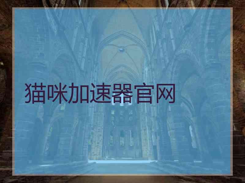 猫咪加速器官网