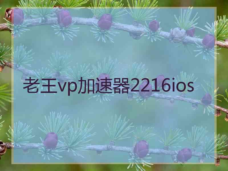 老王vp加速器2216ios