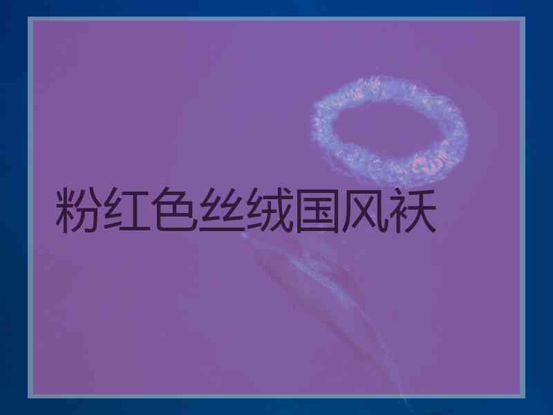 粉红色丝绒国风袄