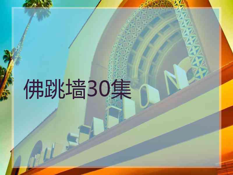 佛跳墙30集