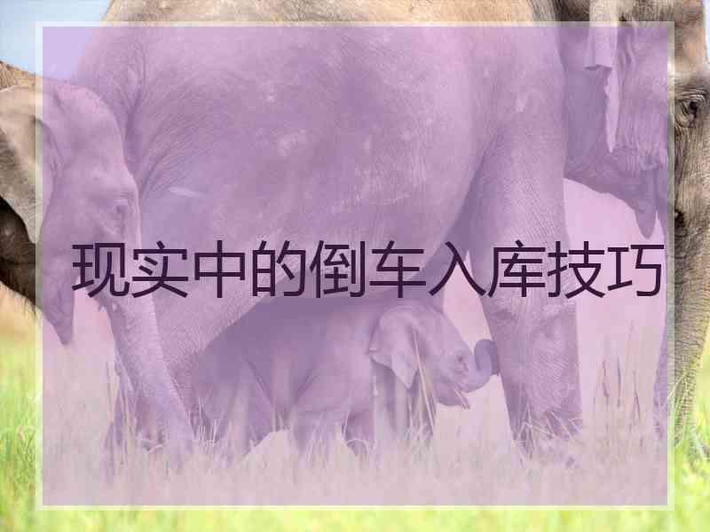 现实中的倒车入库技巧