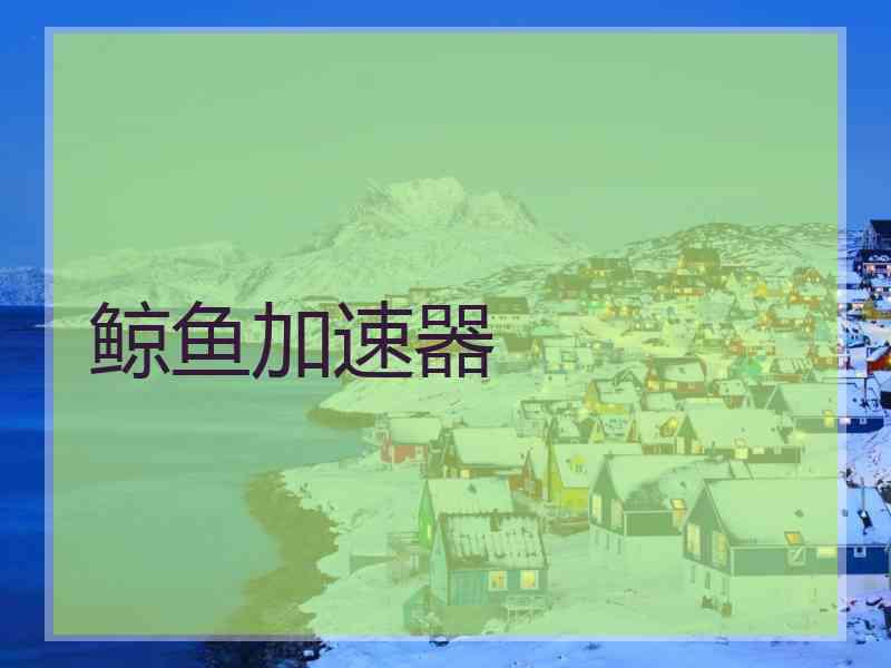 鲸鱼加速器