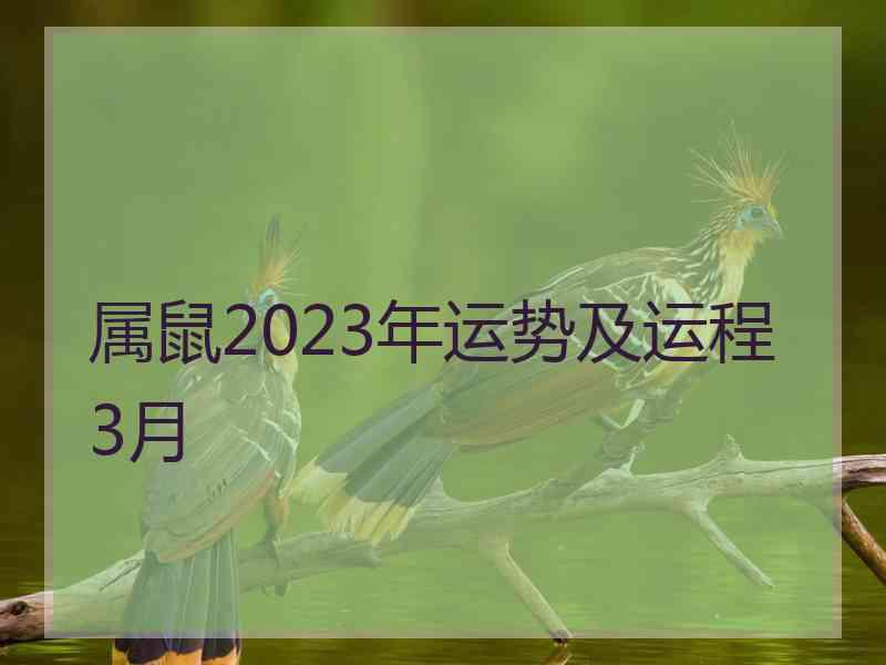 属鼠2023年运势及运程 3月