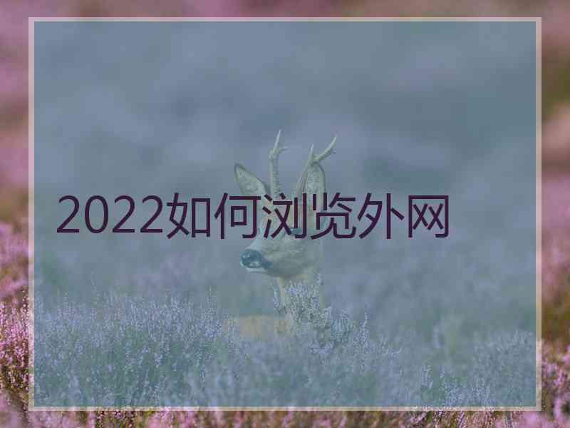 2022如何浏览外网