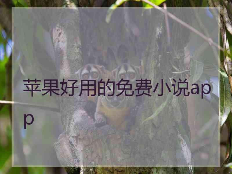 苹果好用的免费小说app