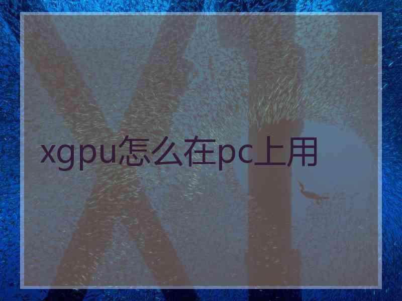 xgpu怎么在pc上用